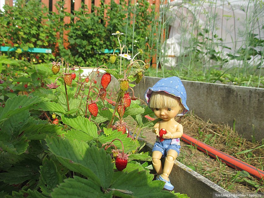 Как ловить бабочек — Куклы Nikki Britt (Никки Бритт): авторские BJD (БЖД) (фото 4)