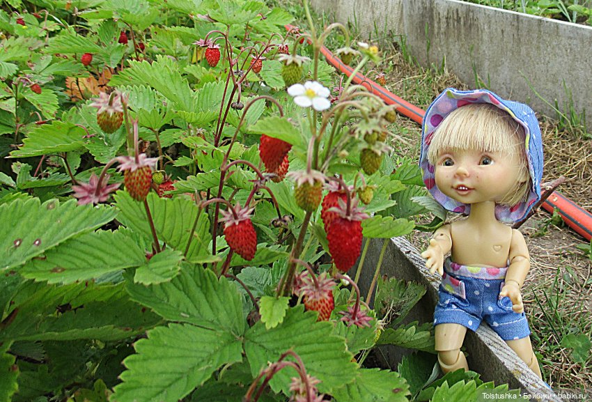 Как ловить бабочек — Куклы Nikki Britt (Никки Бритт): авторские BJD (БЖД) (фото 3)