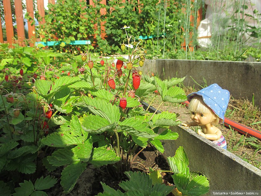 Как ловить бабочек — Куклы Nikki Britt (Никки Бритт): авторские BJD (БЖД) (фото 2)