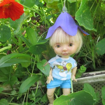 Как ловить бабочек