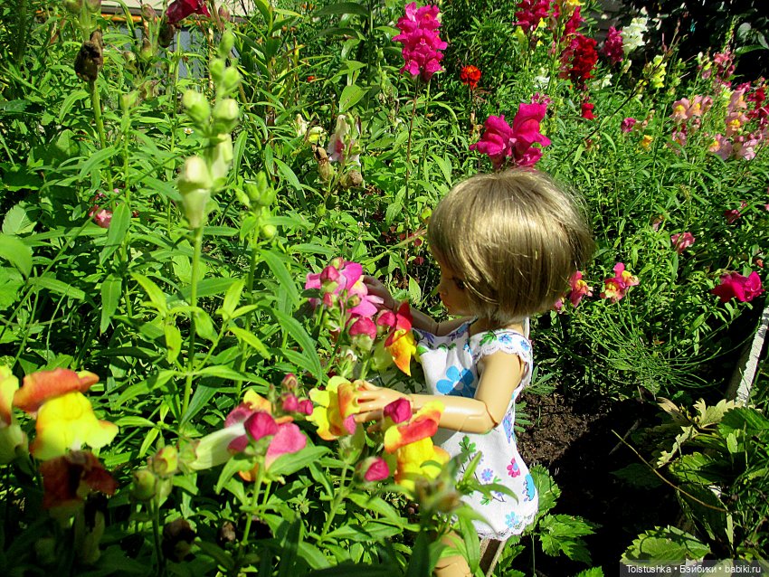 Солнечные часы — Куклы Iplehouse (Иплхаус): BJD (БЖД)