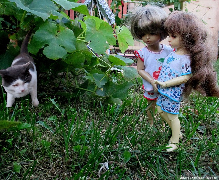 Лунное время — Куклы Iplehouse (Иплхаус): BJD (БЖД)