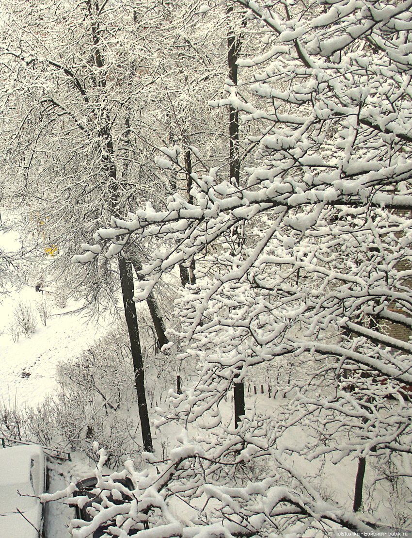 31 декабря — Куклы Iplehouse (Иплхаус): BJD (БЖД)