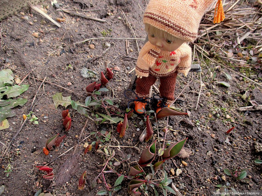 Где лето — Куклы Nikki Britt (Никки Бритт): авторские BJD (БЖД)