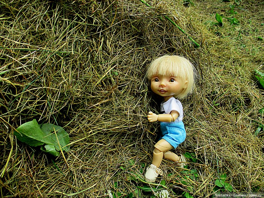 Ягодки — Куклы Nikki Britt (Никки Бритт): авторские BJD (БЖД) (фото 10)