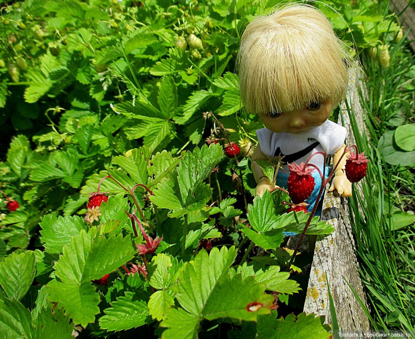 Ягодки — Куклы Nikki Britt (Никки Бритт): авторские BJD (БЖД) (фото 4)