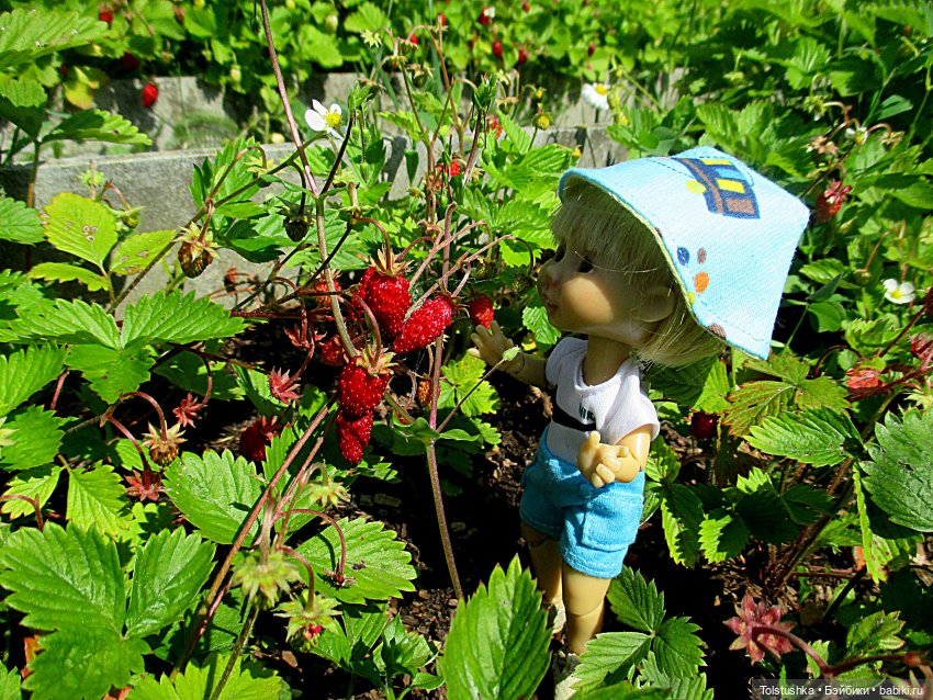 Ягодки — Куклы Nikki Britt (Никки Бритт): авторские BJD (БЖД)