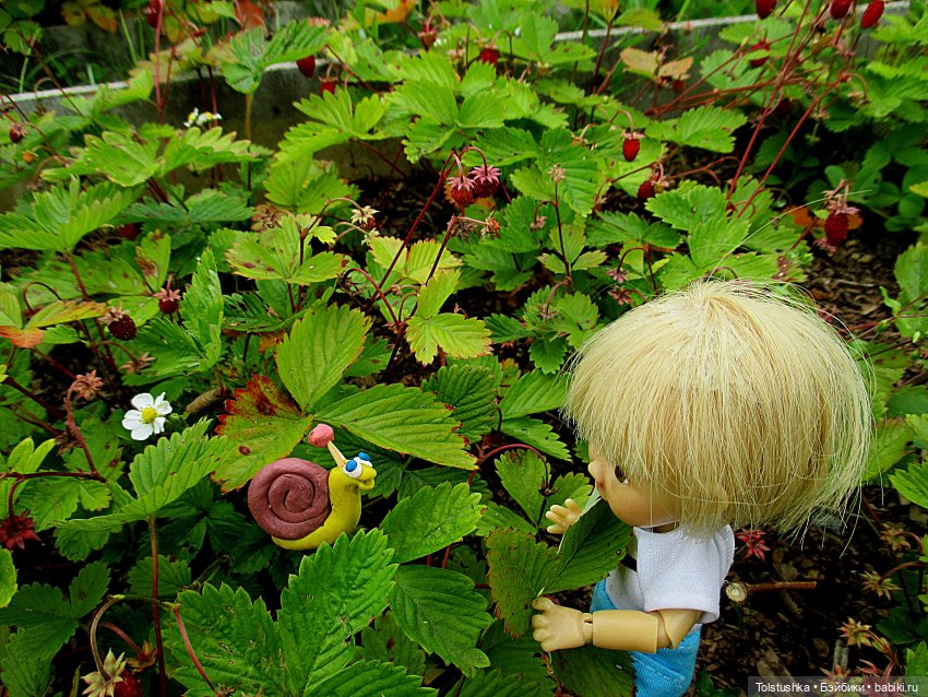 Ягодки — Куклы Nikki Britt (Никки Бритт): авторские BJD (БЖД)