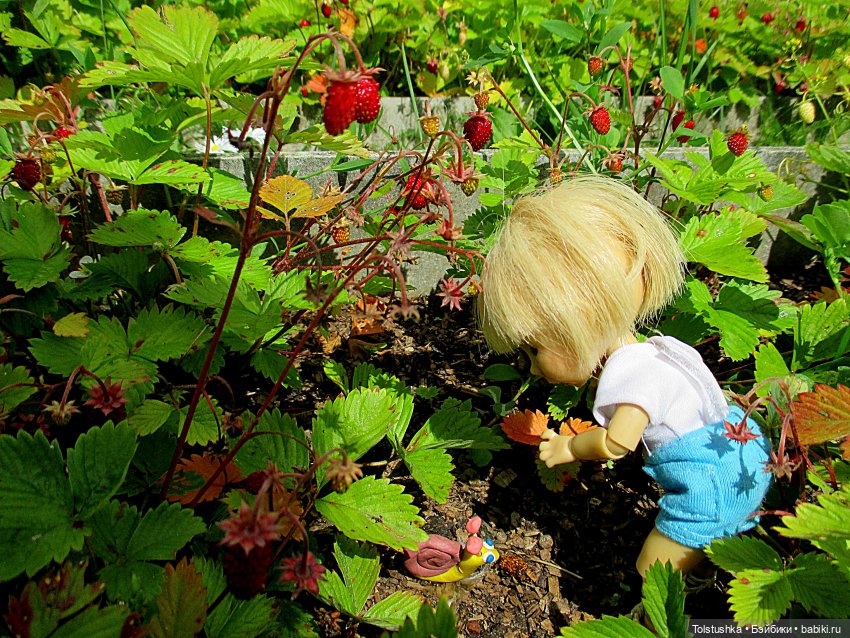 Ягодки — Куклы Nikki Britt (Никки Бритт): авторские BJD (БЖД)