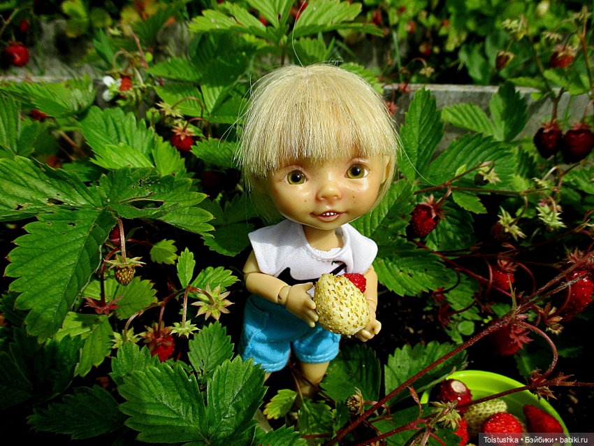 Ягодки — Куклы Nikki Britt (Никки Бритт): авторские BJD (БЖД) (фото 6)