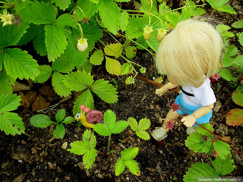 Ягодки — Куклы Nikki Britt (Никки Бритт): авторские BJD (БЖД)