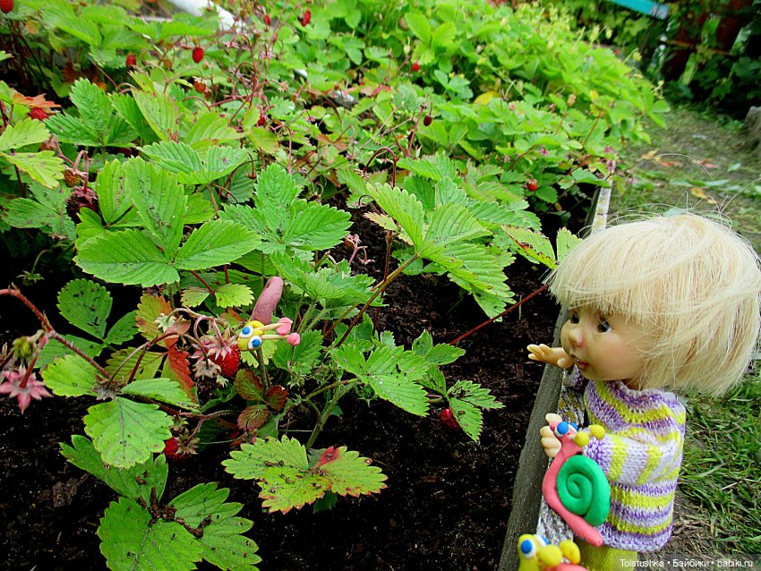 Ягодки — Куклы Nikki Britt (Никки Бритт): авторские BJD (БЖД)