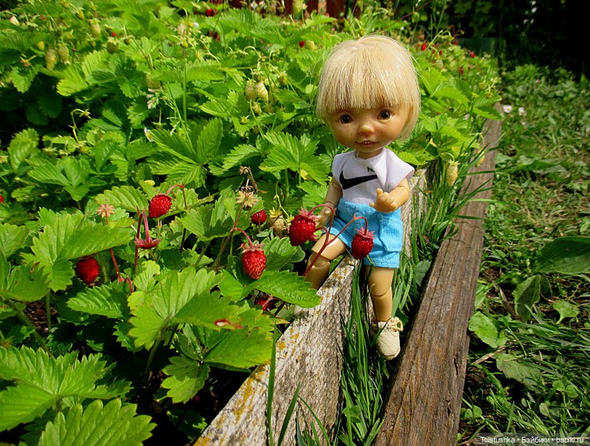 Ягодки — Куклы Nikki Britt (Никки Бритт): авторские BJD (БЖД) (фото 3)