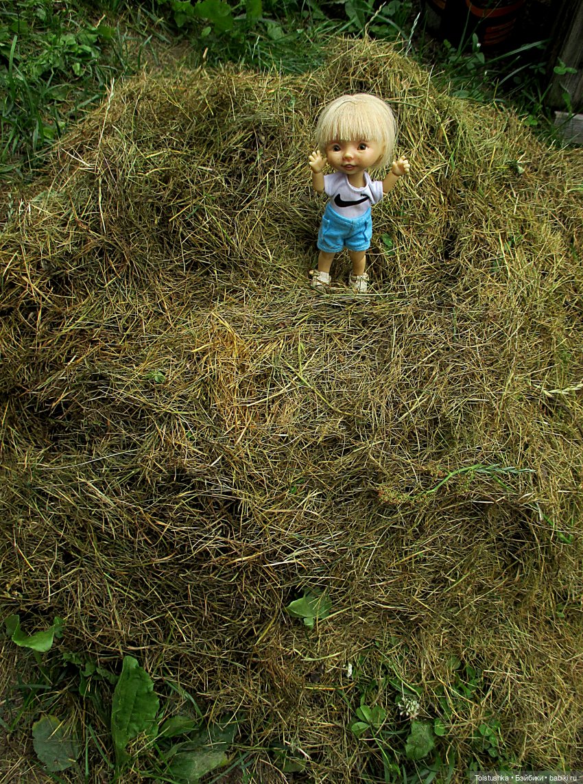 Ягодки — Куклы Nikki Britt (Никки Бритт): авторские BJD (БЖД)