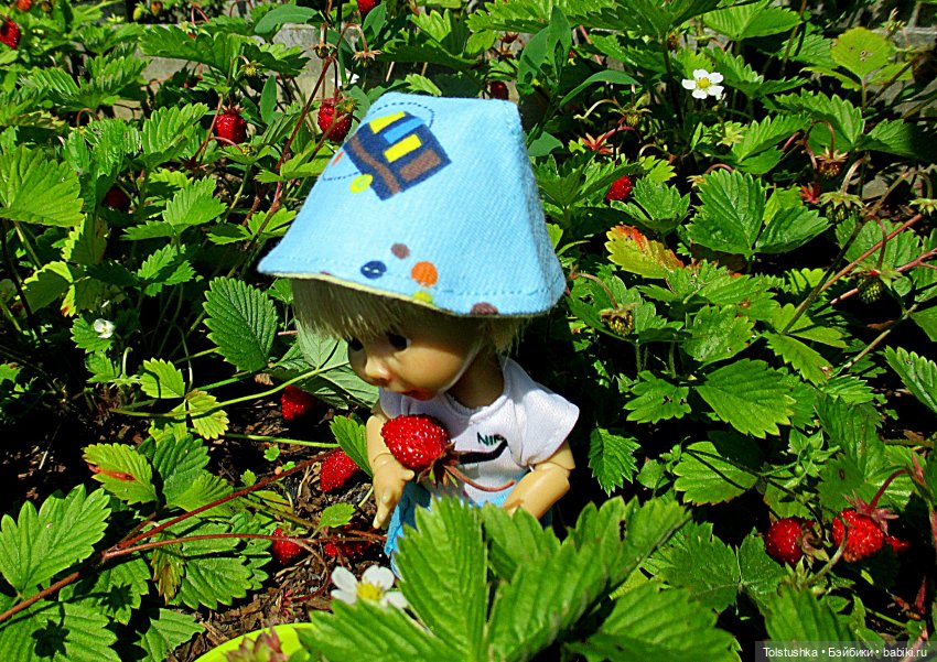 Ягодки — Куклы Nikki Britt (Никки Бритт): авторские BJD (БЖД) (фото 5)