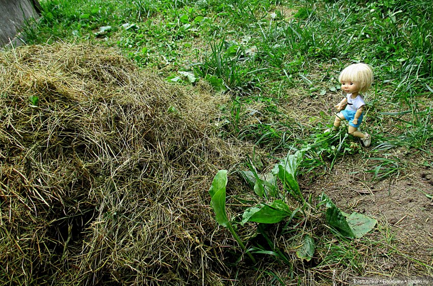 Ягодки — Куклы Nikki Britt (Никки Бритт): авторские BJD (БЖД) (фото 9)