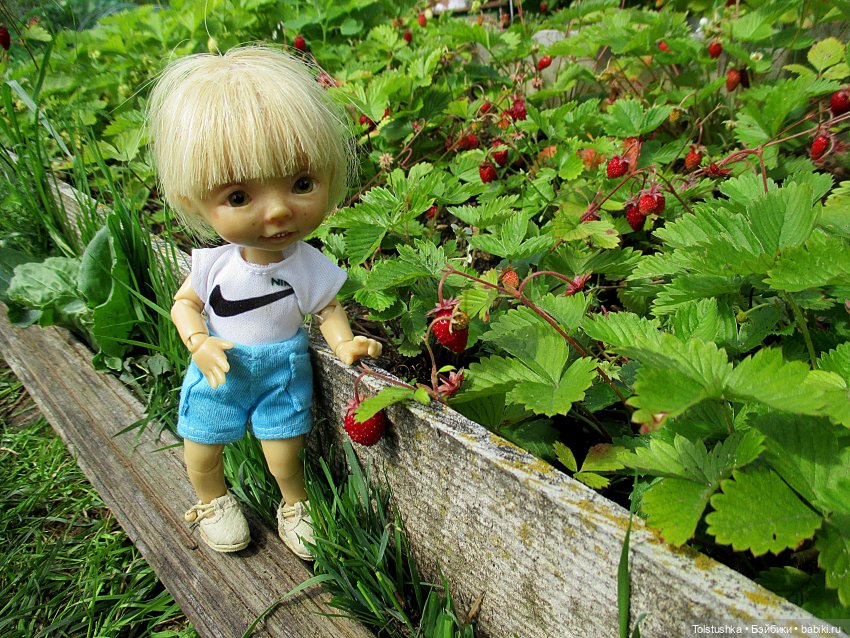 Ягодки — Куклы Nikki Britt (Никки Бритт): авторские BJD (БЖД) (фото 2)