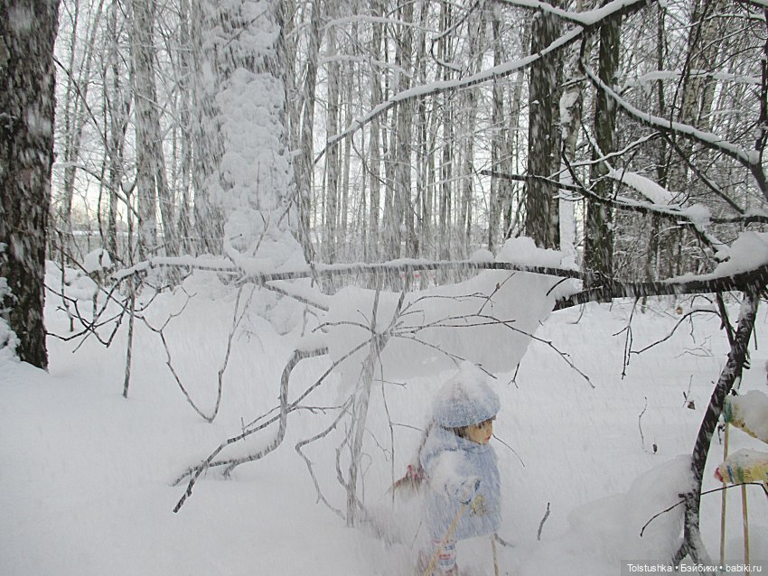 Зимние каникулы — Куклы Iplehouse (Иплхаус): BJD (БЖД)