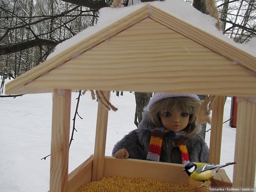 Зимние каникулы | Бэйбики Зимние каникулы — Куклы Iplehouse (Иплхаус): BJD (БЖД) (фото 6)