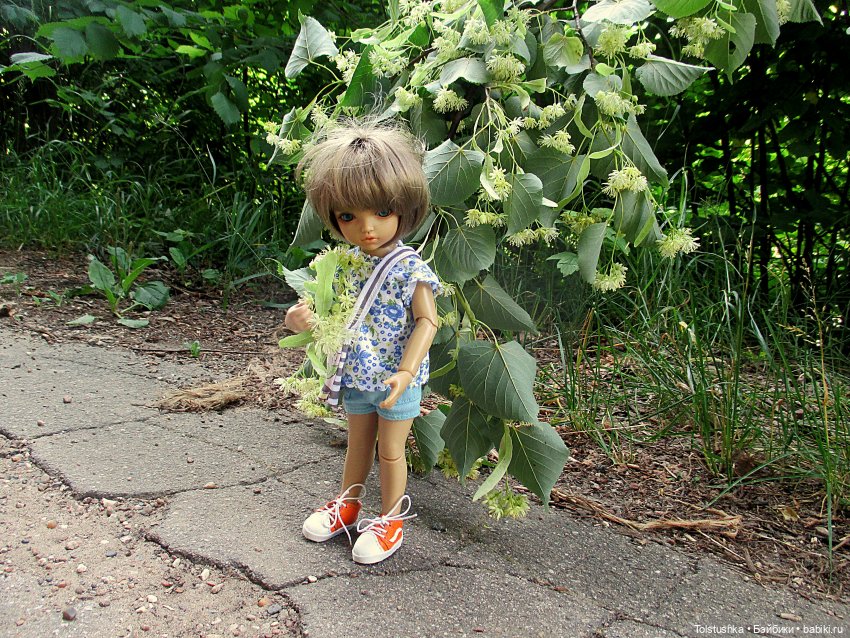 Липа зацвела — Куклы Iplehouse (Иплхаус): BJD (БЖД)