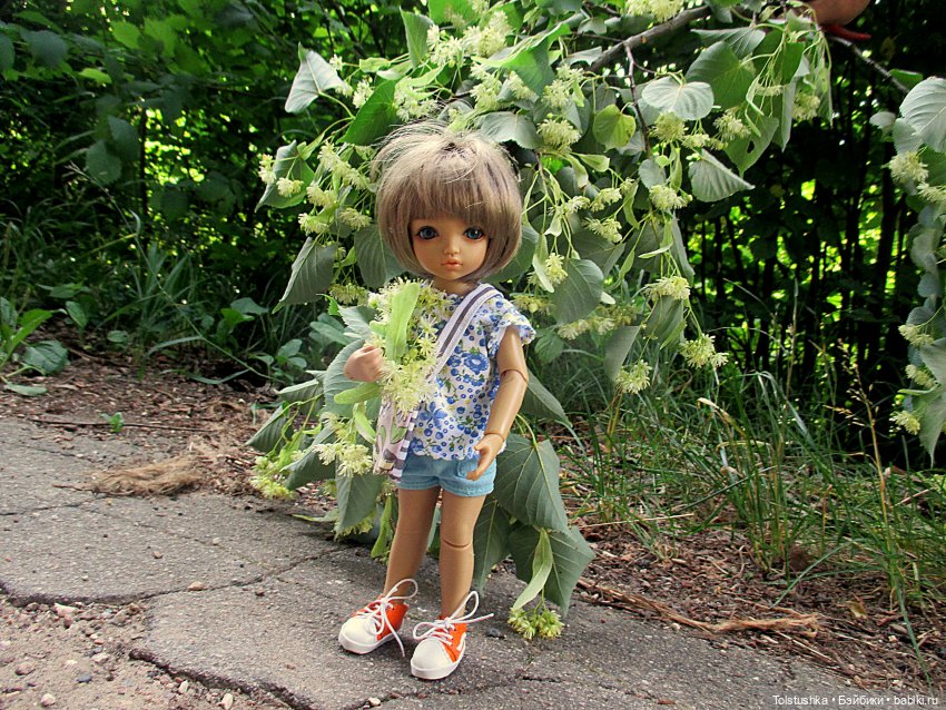 Липа зацвела — Куклы Iplehouse (Иплхаус): BJD (БЖД)