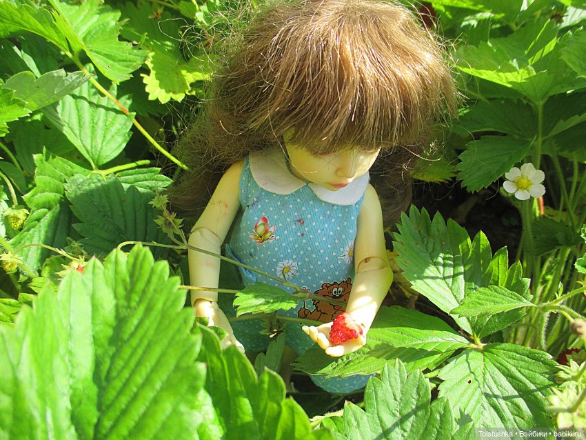 Липа зацвела — Куклы Iplehouse (Иплхаус): BJD (БЖД)