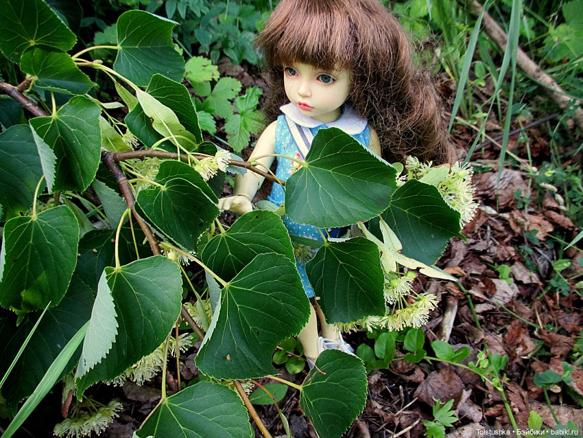Липа зацвела — Куклы Iplehouse (Иплхаус): BJD (БЖД) (фото 7)