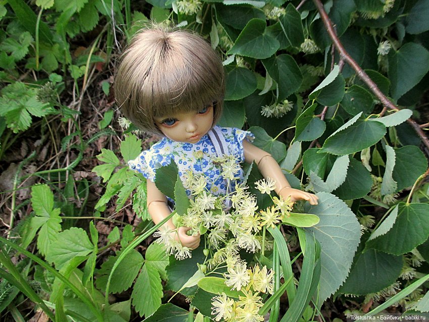Липа зацвела — Куклы Iplehouse (Иплхаус): BJD (БЖД) (фото 6)