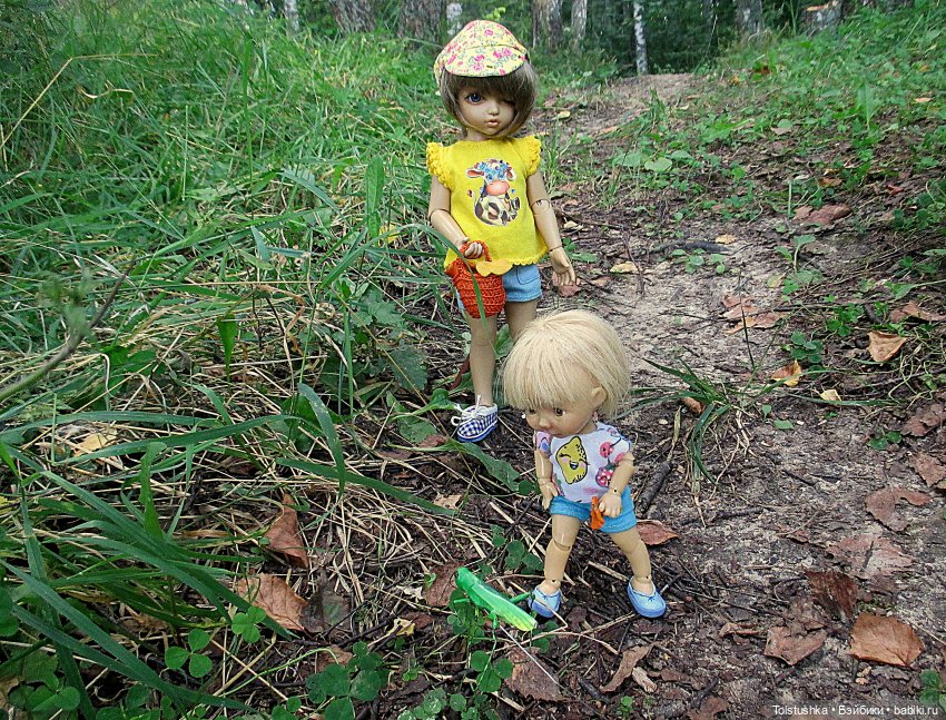 Лисички, лисички бегают по лесу