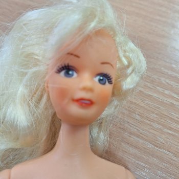 Помогите узнать куколку.