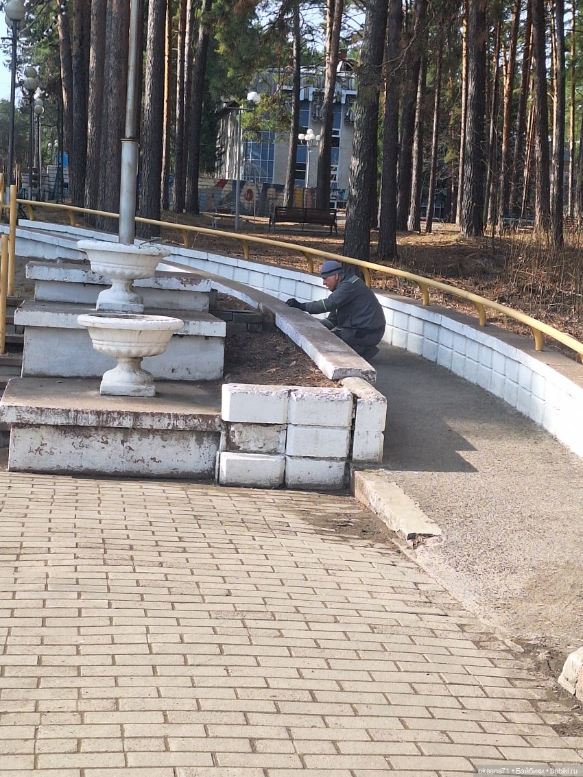 Хитрули и белочки на прогулке в парке