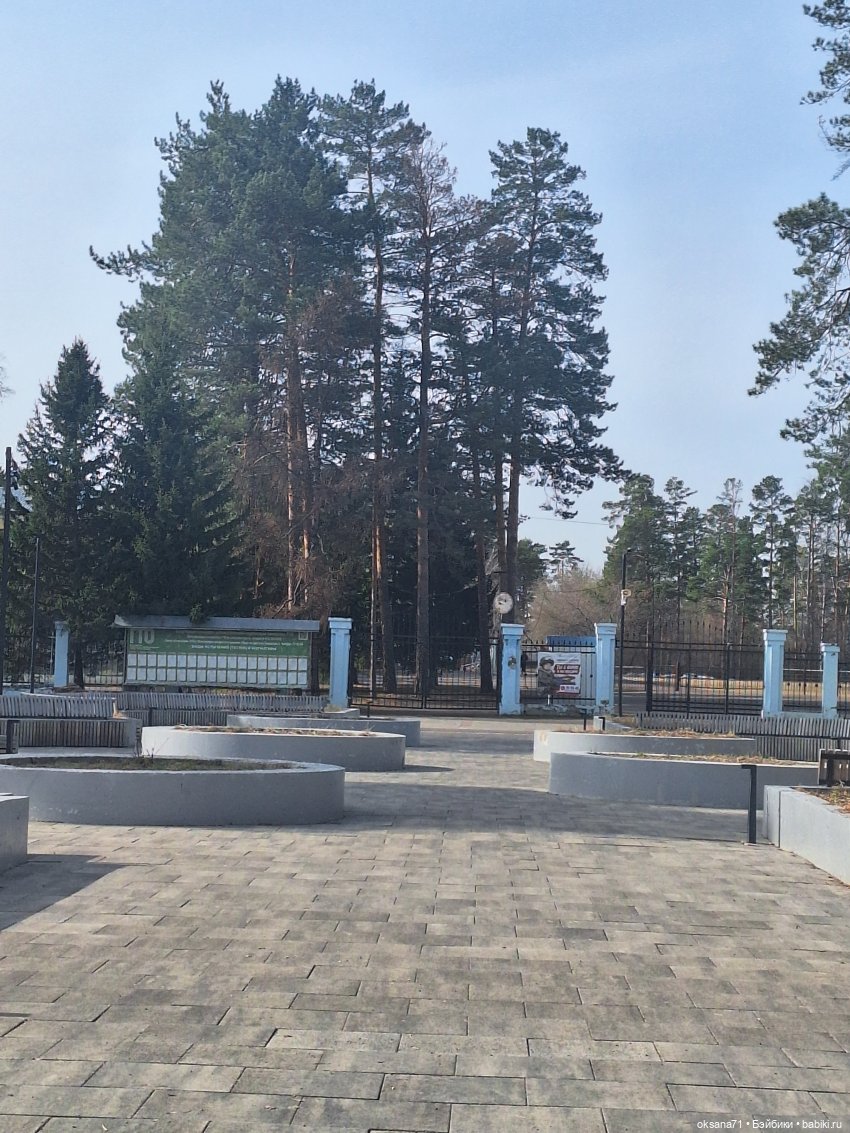 Хитрули и белочки на прогулке в парке (фото 3)