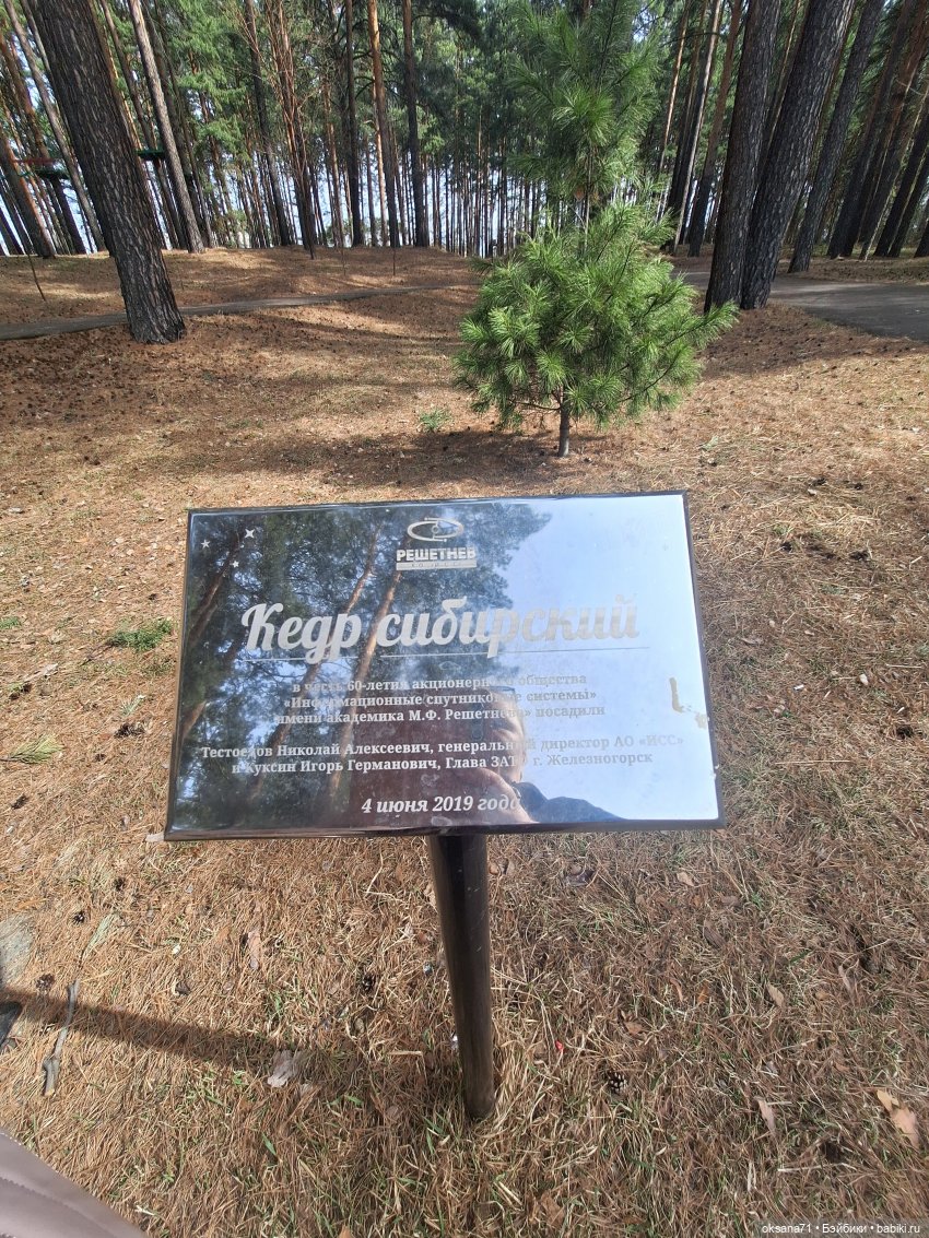 Хитрули и белочки на прогулке в парке