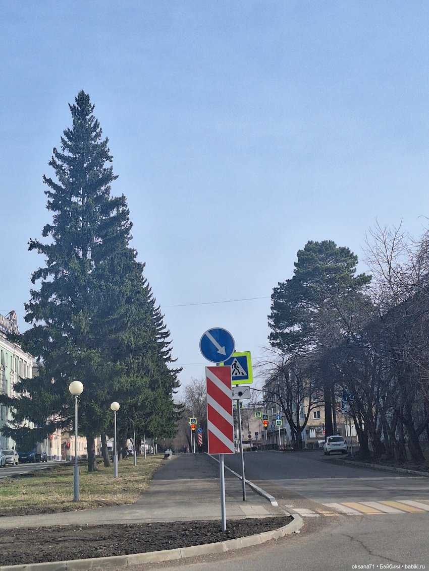 Хитрули и белочки на прогулке в парке (фото 2)