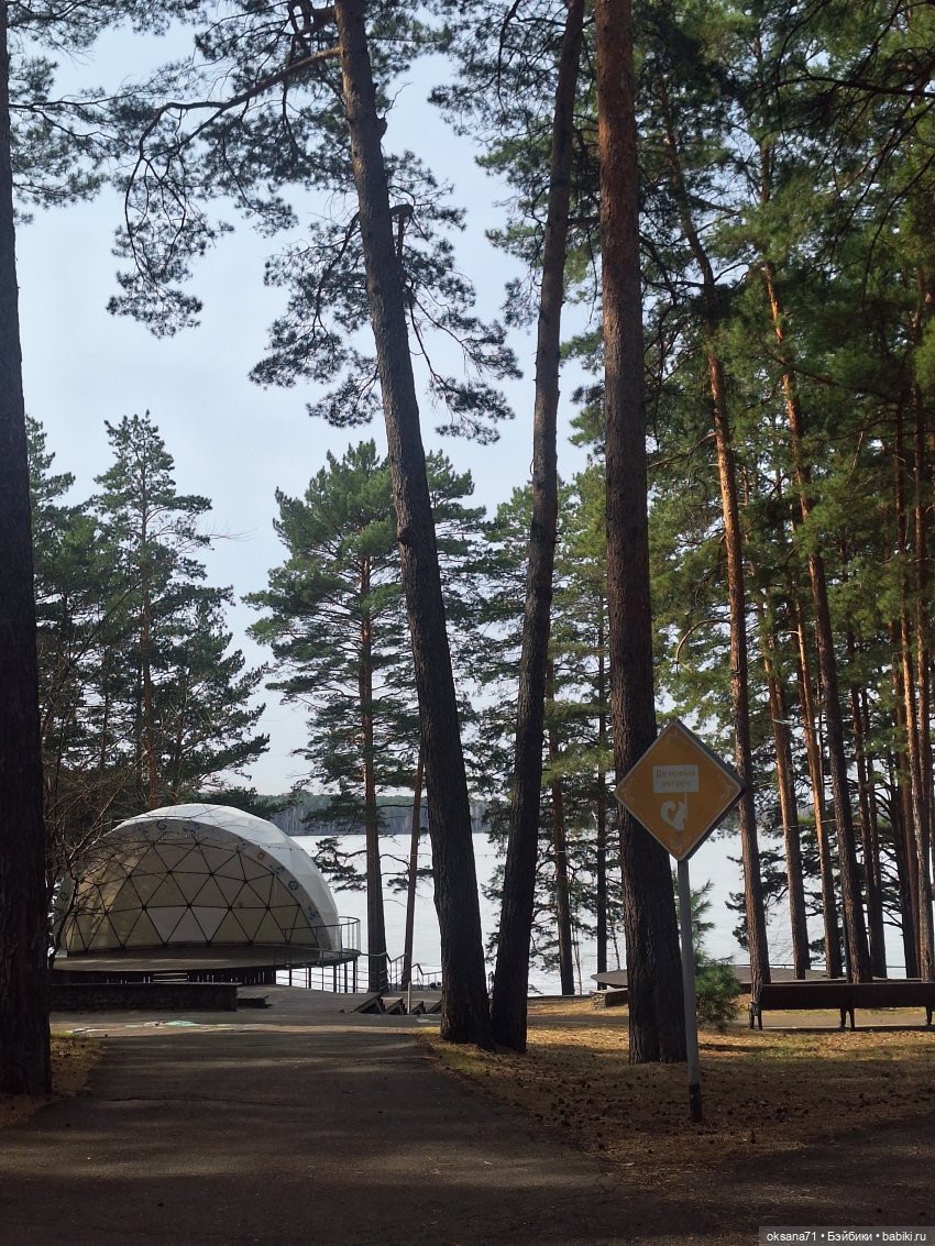 Хитрули и белочки на прогулке в парке