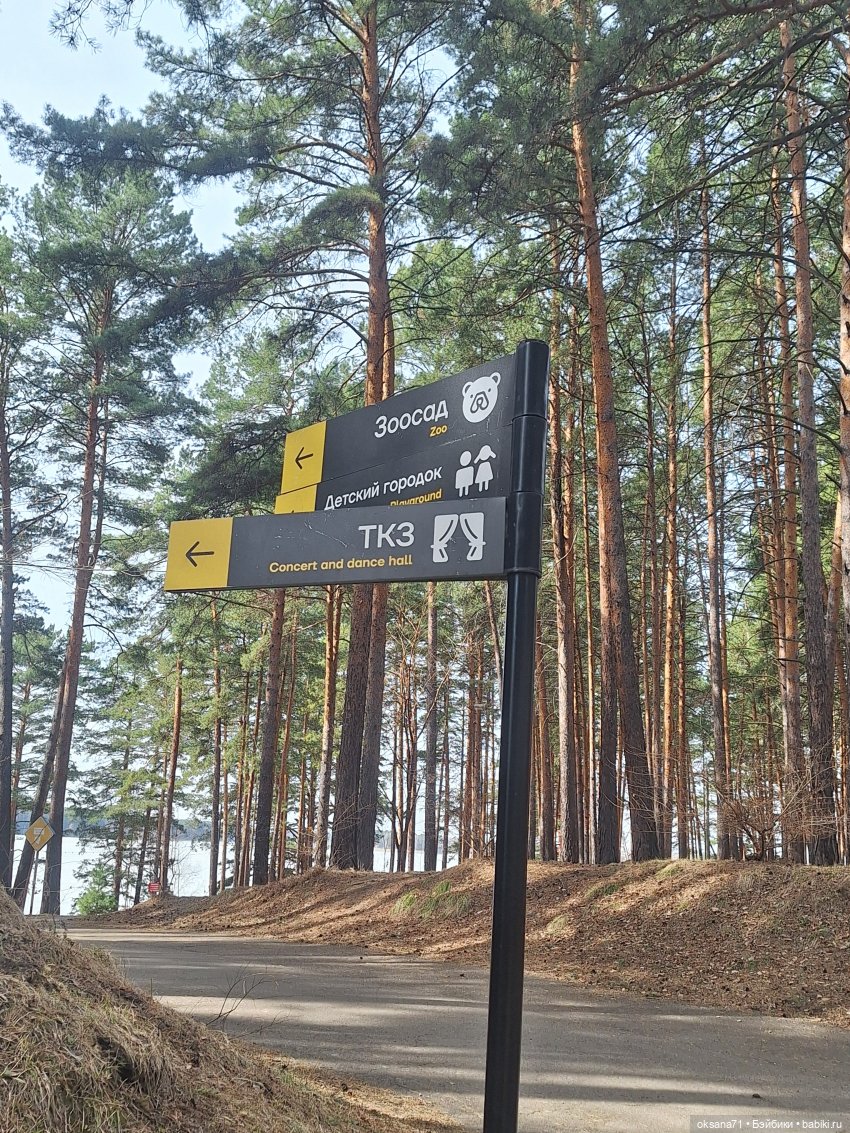 Хитрули и белочки на прогулке в парке