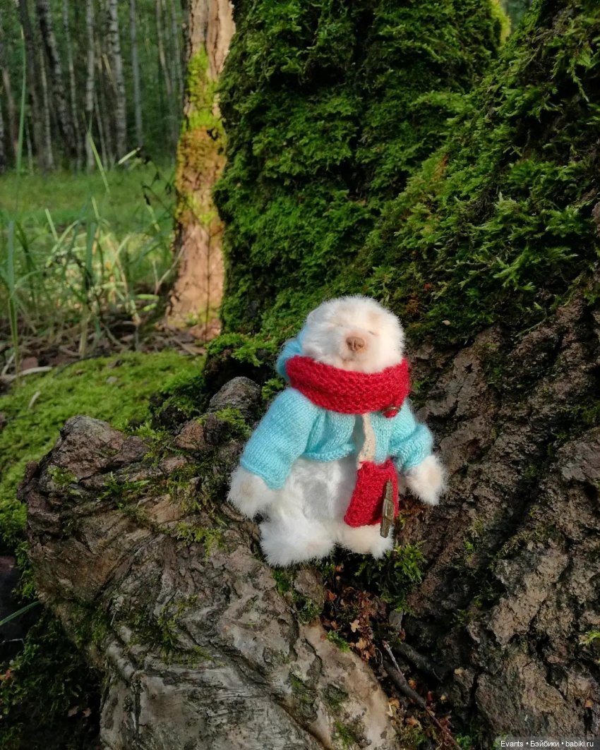 Прекрасный лесной житель — Домашние фото авторских игрушек: Тедди (фото 6)