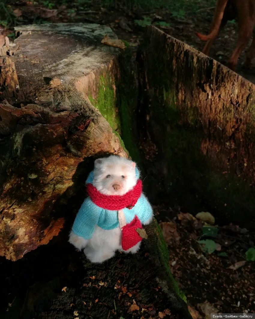 Прекрасный лесной житель — Домашние фото авторских игрушек: Тедди (фото 5)