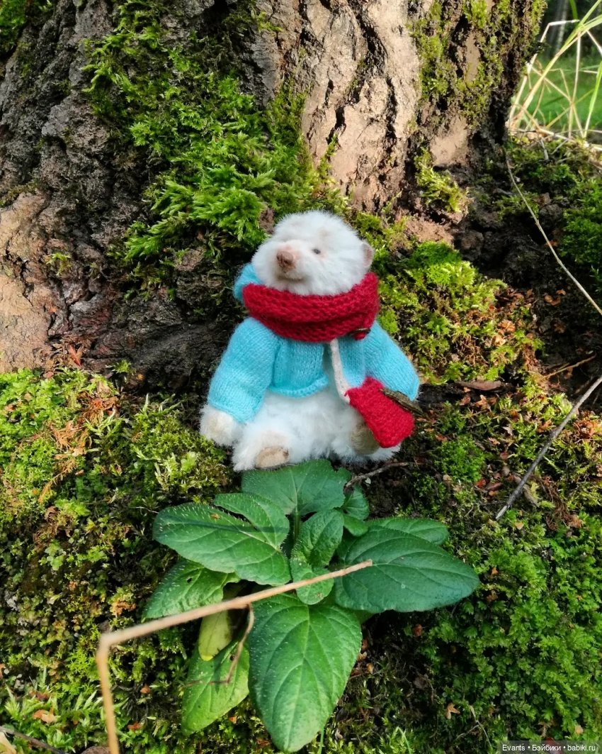 Прекрасный лесной житель — Домашние фото авторских игрушек: Тедди (фото 3)