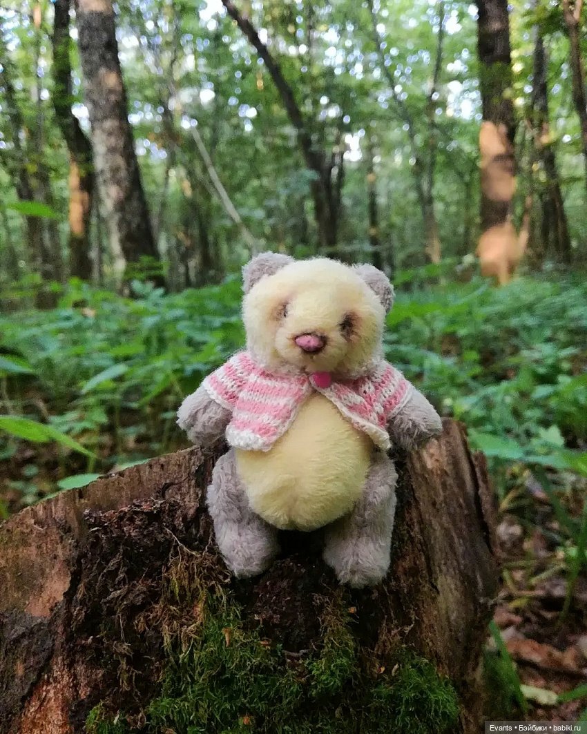 Сахарок и Зефирка — Авторские мишки Тедди и друзья: фото (фото 3)