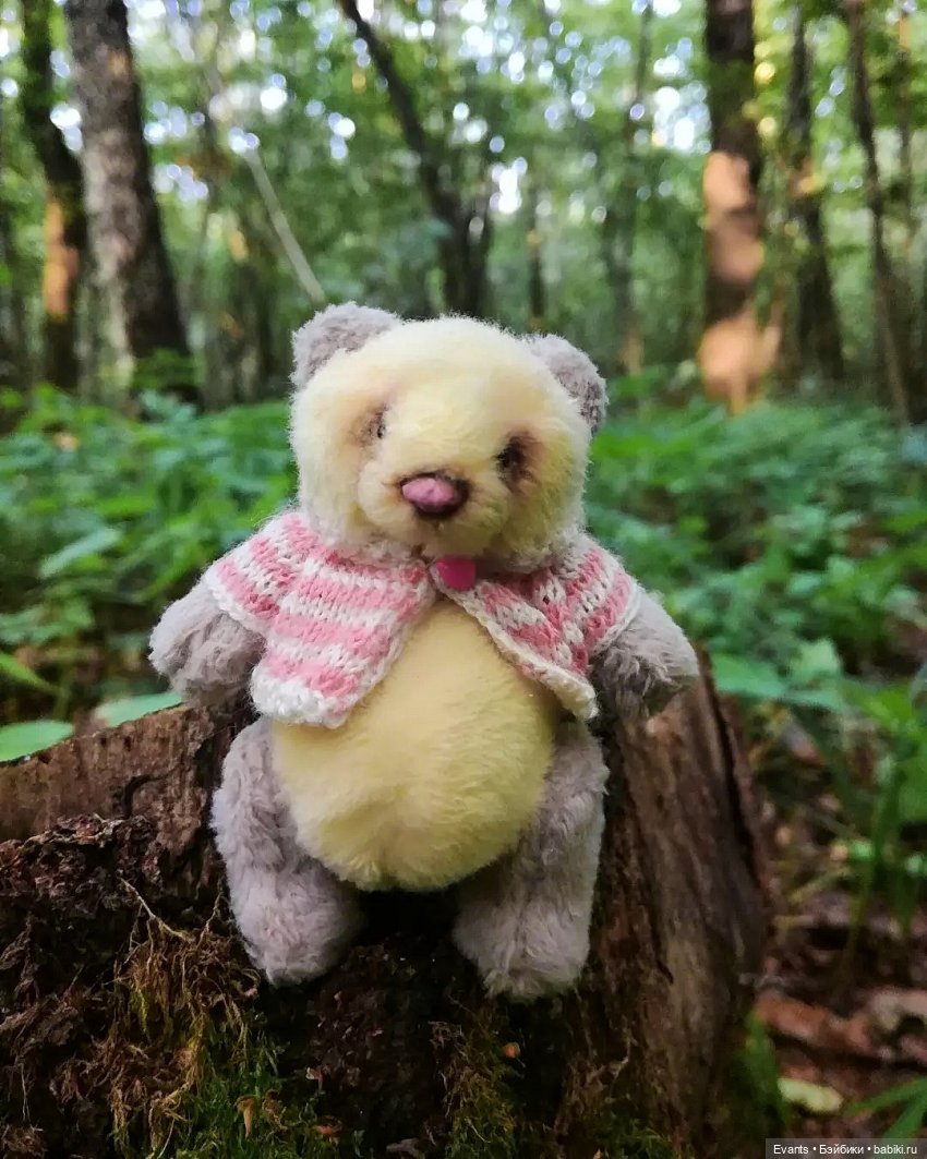 Сахарок и Зефирка — Авторские мишки Тедди и друзья: фото (фото 2)