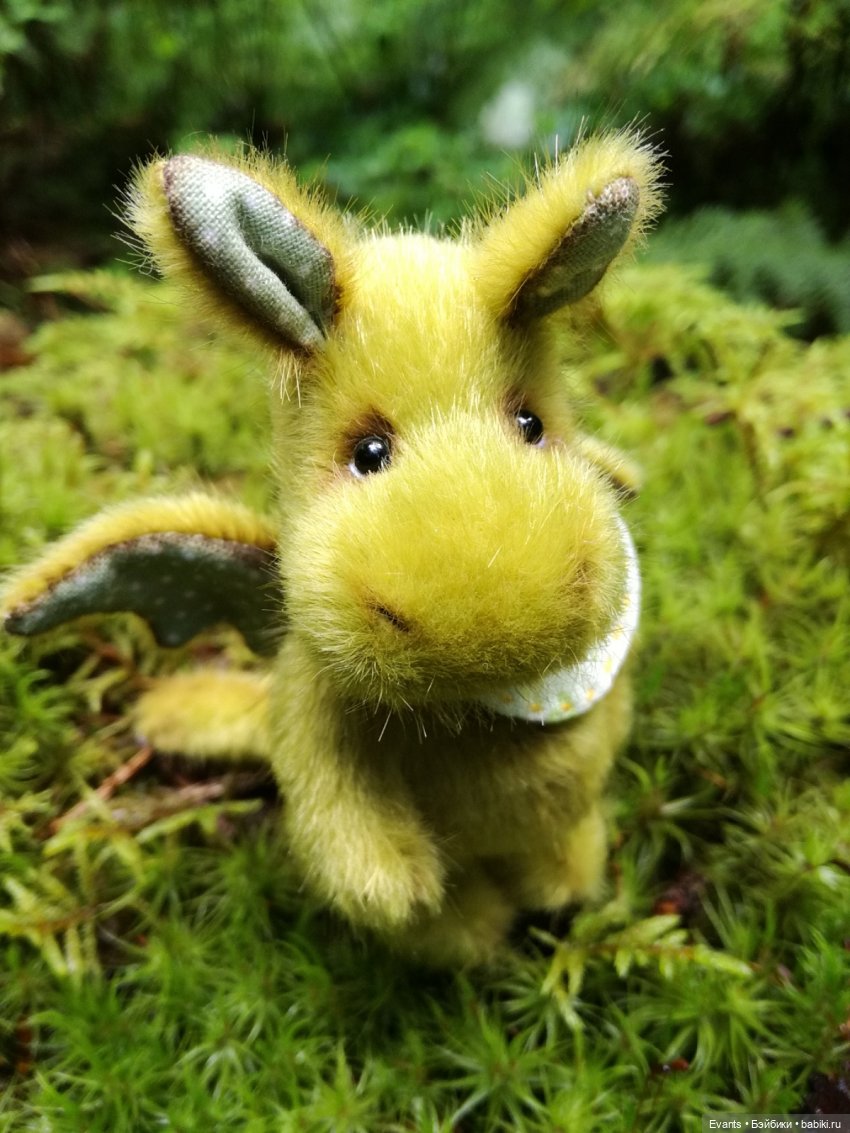 А Вы встречали в лесу маленьких дракончиков (фото 3)