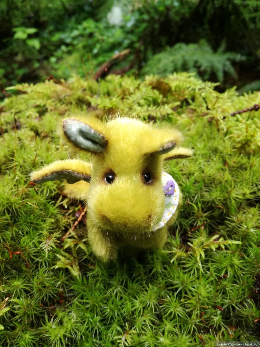 А Вы встречали в лесу маленьких дракончиков (фото 4)