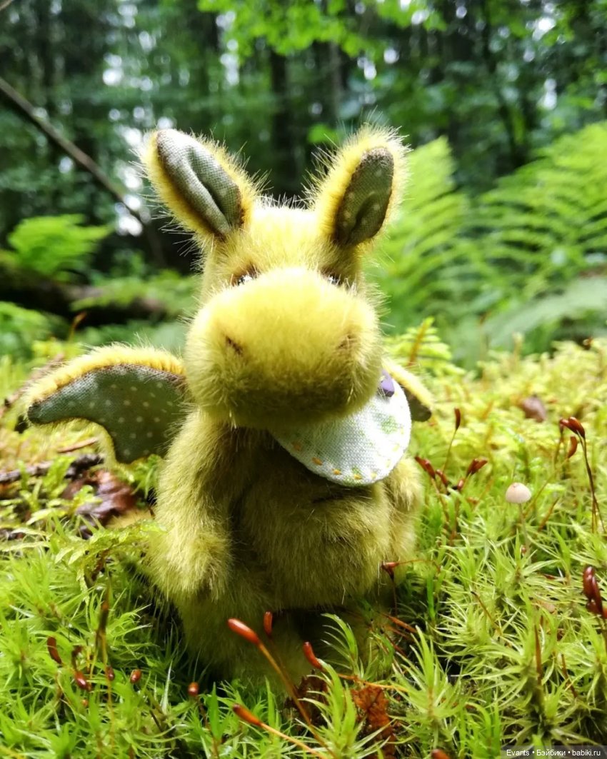 А Вы встречали в лесу маленьких дракончиков (фото 7)