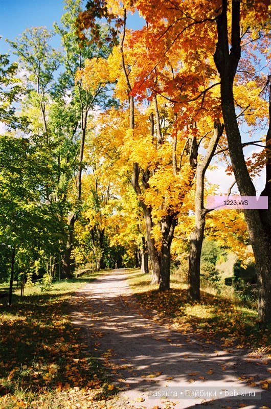 Ода об осени. с участием моей любимой Луши от 5 star doll