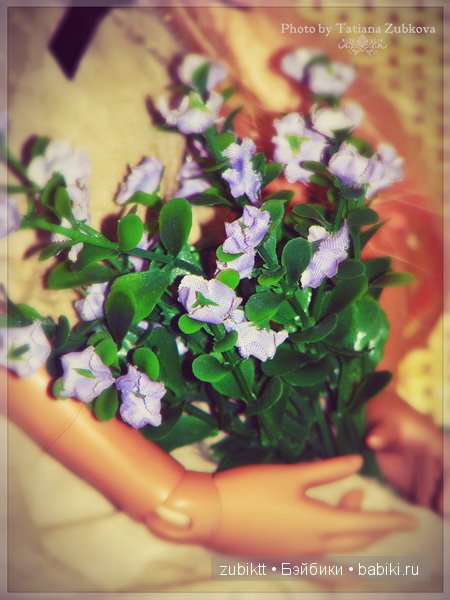 А просто так... ( Doll Leaves Amara и Dollmore Suntan Paran) (фото 7)