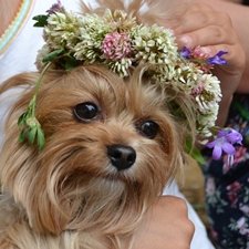 И пришла любовь...