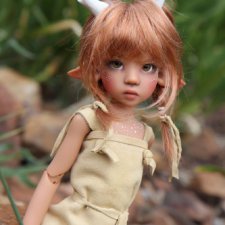 Фотоотчет по выставке PNWBJDExpo в Америке