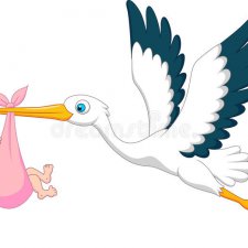 Откуда я взялся ?