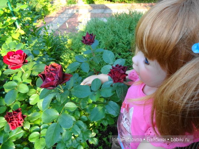 Урок ботаники для Маруси на даче в Подмосковье | Бэйбики Урок ботаники для Маруси на даче в Подмосковье